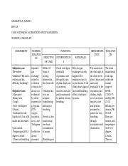 Aiane Gramatica (116MB) .